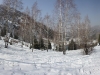 IMG_5103 Panorama